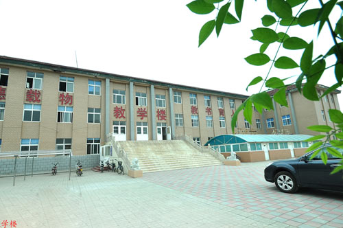 滄州國興職業(yè)技術(shù)學(xué)校開設(shè)了哪些專業(yè)？