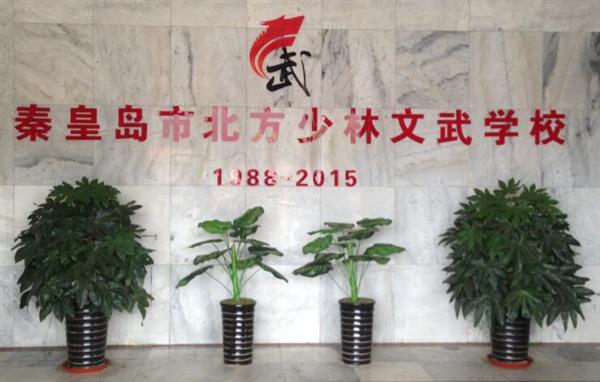 秦皇島北方少林文武學校就業如何？這答案你放心！