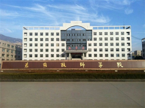 泰安技師學院怎么樣？