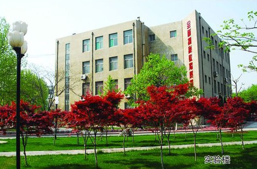 淄博市工業學校開設哪些計算機課程？
