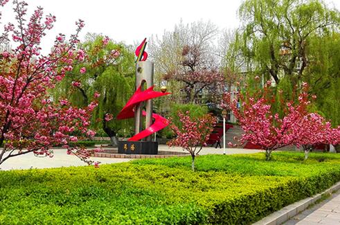 齊魯技術學院是一所什么樣的學校？