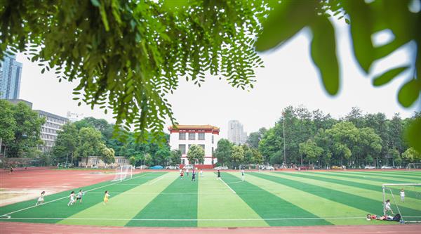 為什么選擇青島滿天星職業培訓學校？