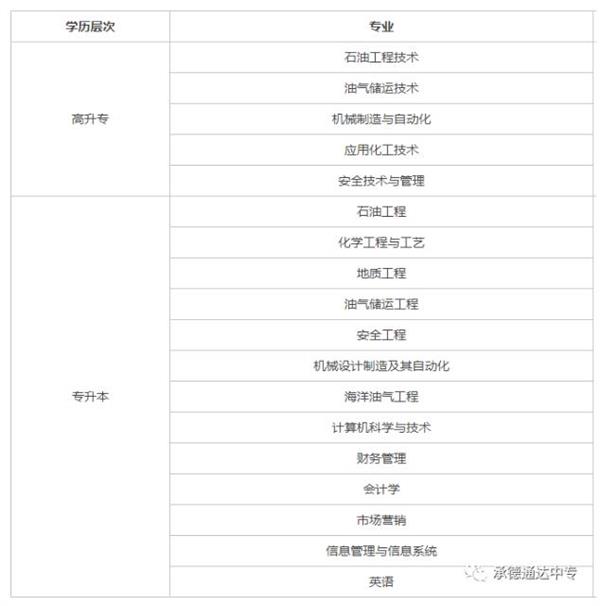 專業表格2