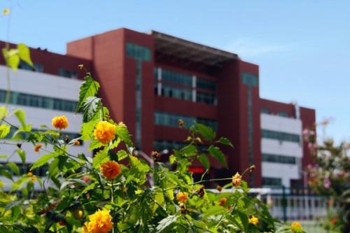通過單招考取大學有哪些優勢？