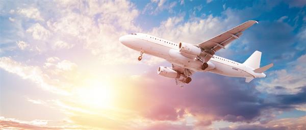 河北哪所學校有航空服務專業？
