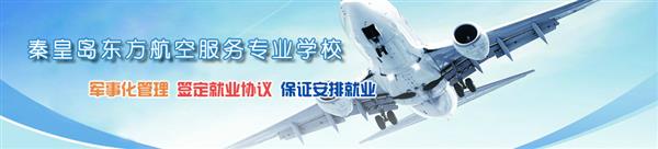 哪所學校開設了航空服務專業？