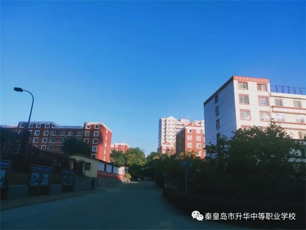 學習電子商務專業畢業后有哪些就業方向？