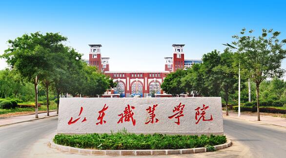 山東職業(yè)學(xué)院有哪些教學(xué)成果？