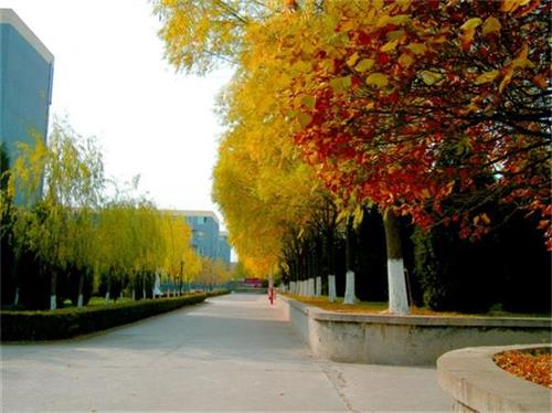 北京現(xiàn)代體育學(xué)院、航空乘務(wù)學(xué)院設(shè)施好嗎？