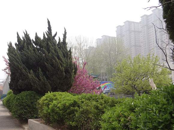 煙臺天虹學院怎么樣？