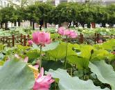 學校環境