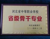 專業圖片