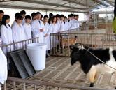 濟南現代畜牧獸醫專修學校