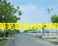 萊蕪職業技術學院