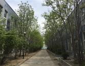 山東職業技工學院